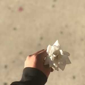 Meet your Posher, Felipe